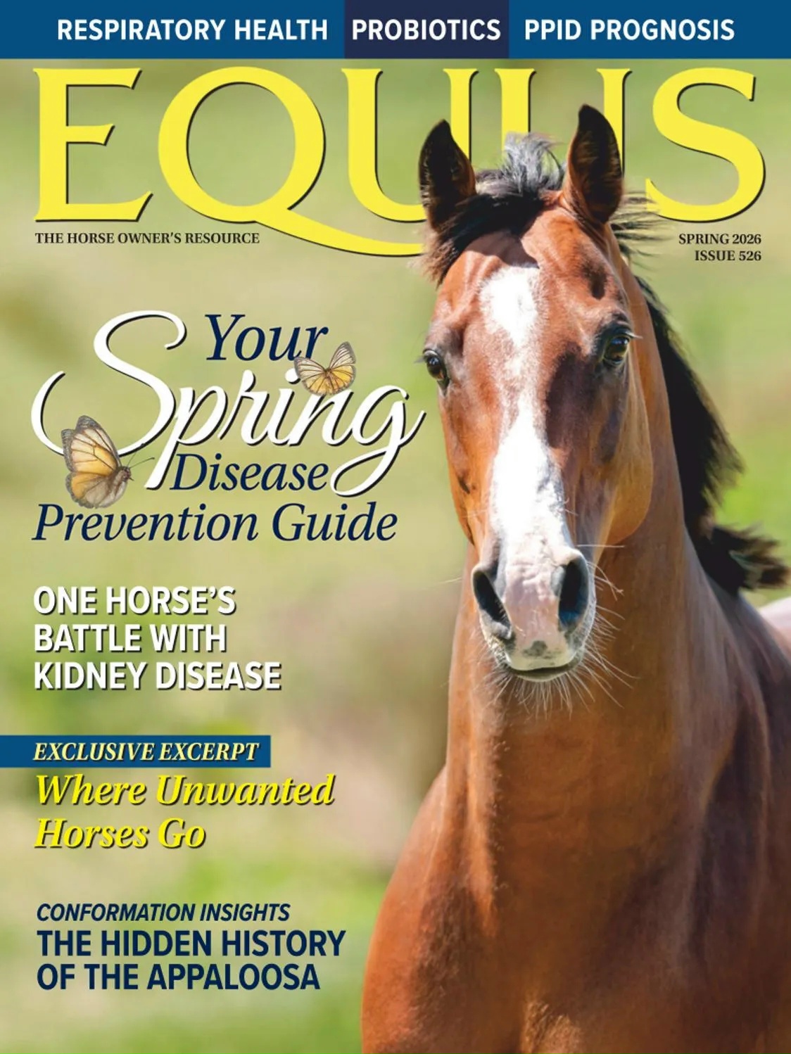 Equus – Spring 2026